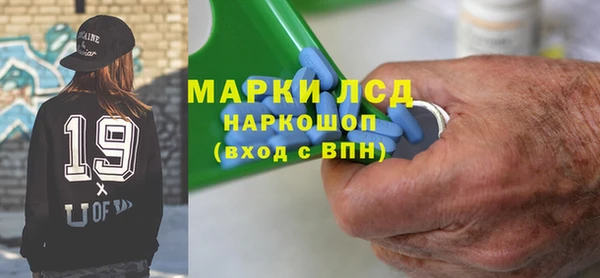 прущие грибы Армянск
