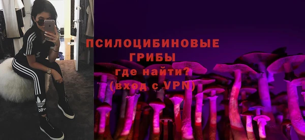 кристаллы Няндома