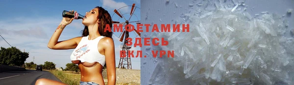 прущие грибы Армянск